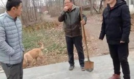 陈店镇本地爆料事件最新,揭秘背后真相，居民热议！